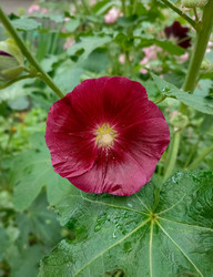 Similar image 21953258