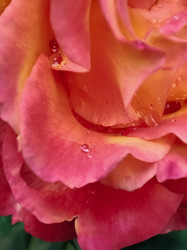 Similar image 21953259