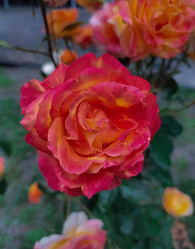 Similar image 21953260