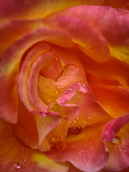 Similar image 21953261