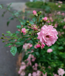 Similar image 21953263