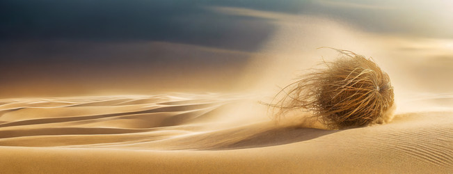 Similar image 21965743