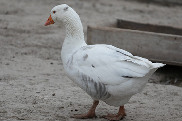 Similar image 21976045