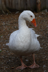 Similar image 21976095