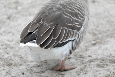 Similar image 21976117