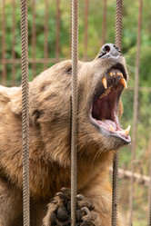 Similar image 21970612