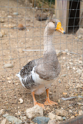 Similar image 21970613