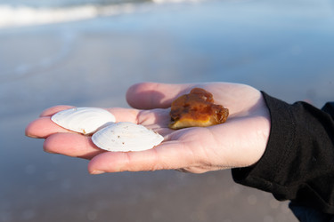 Similar image 21962275