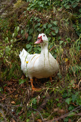 Similar image 21970615