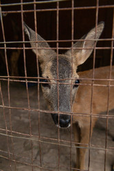 Similar image 21970617