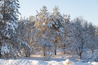 Similar image 21962279