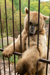 Similar image 21970620