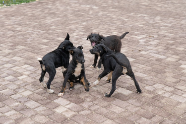 Similar image 21955337