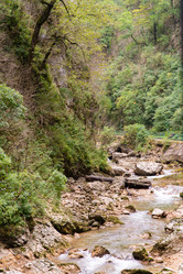 Similar image 21954904