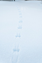 Similar image 21968583