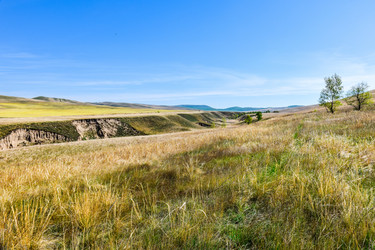 Similar image 21951828