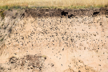 Similar image 21951830