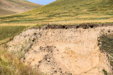 Similar image 21951831