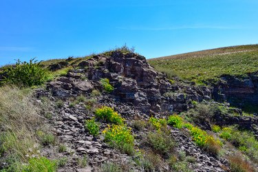 Similar image 21951836