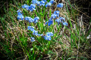 Similar image 21951838