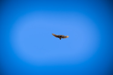 Similar image 21951841