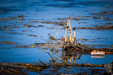 Similar image 21951842