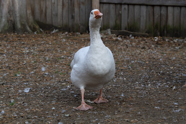 Similar image 21965982