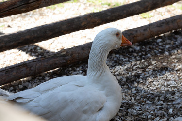 Similar image 21965986