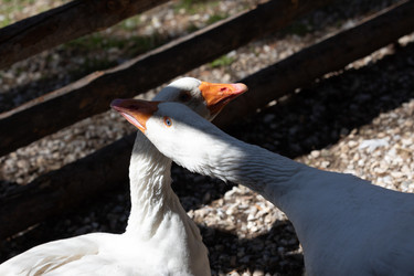 Similar image 21965987