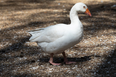 Similar image 21965989