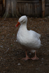 Similar image 21965994