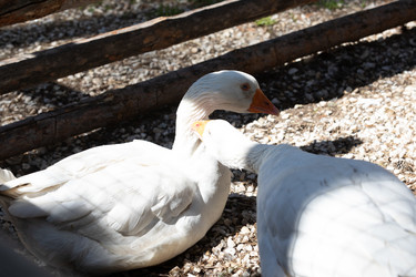 Similar image 21965995