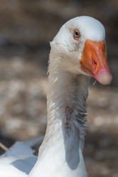 Similar image 21965997