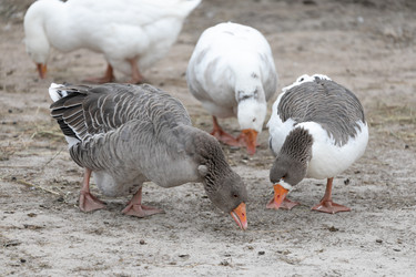 Similar image 21965998