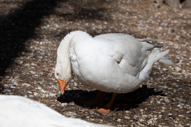 Similar image 21966000