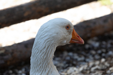 Similar image 21966007