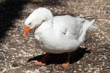 Similar image 21966008