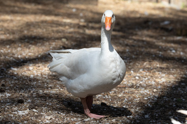 Similar image 21966009