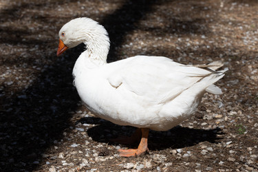 Similar image 21966012