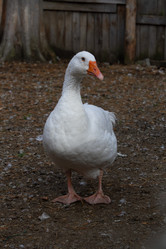 Similar image 21966013