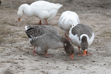 Similar image 21966015