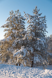 Similar image 21962286