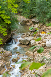 Similar image 21954922