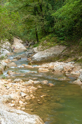 Similar image 21954924