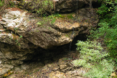 Similar image 21954928