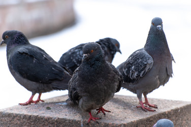 Similar image 21962289