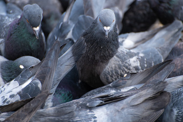 Similar image 21955338