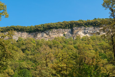 Similar image 21954932