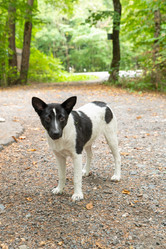 Similar image 21954951