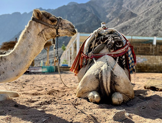 Similar image 21953264